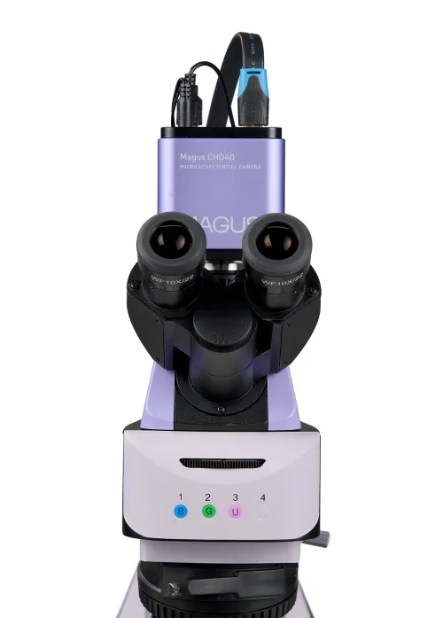 obraz cyfrowy mikroskop fluorescencyjny MAGUS Lum D460L LCD,  11