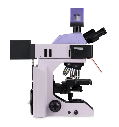 zdjęcie cyfrowy mikroskop fluorescencyjny MAGUS Lum D470L,  8