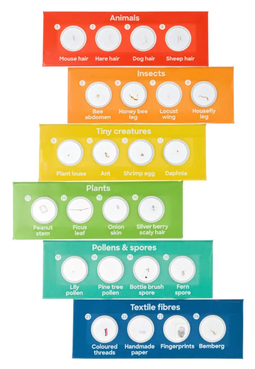 obraz mikroskop Levenhuk Discovery Micro z książką,  17