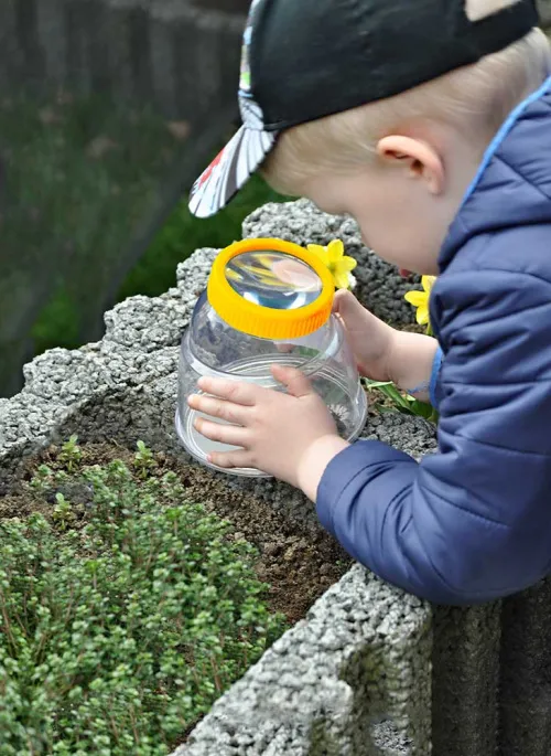 obraz pojemnik Bresser National Geographic 5x XXL do obserwacji owadów,  6