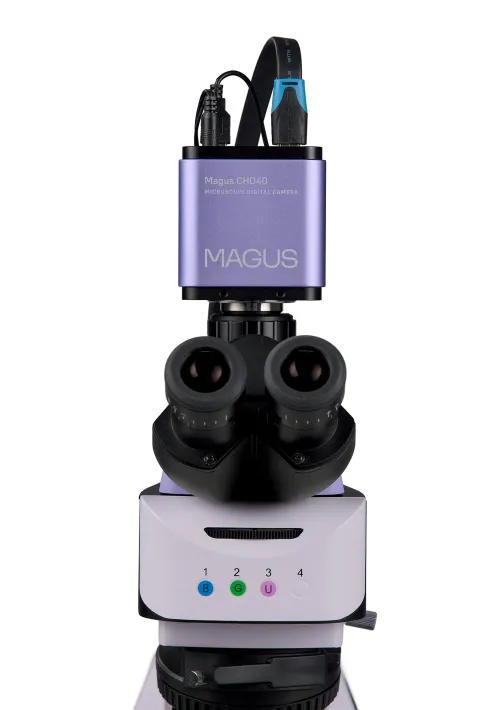 obraz cyfrowy mikroskop fluorescencyjny MAGUS Lum D460L LCD,  12