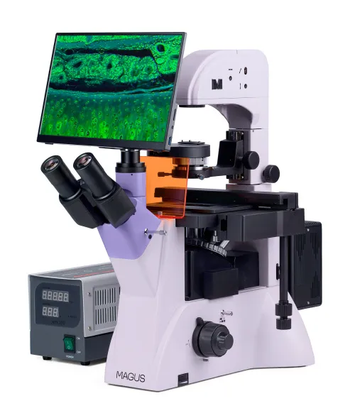 fotografia odwrócony mikroskop fluorescencyjny cyfrowy MAGUS Lum VD500 LCD,  3