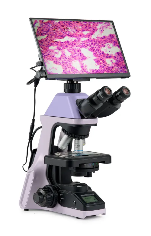 obraz cyfrowy mikroskop biologiczny MAGUS Bio D240T LCD,  3