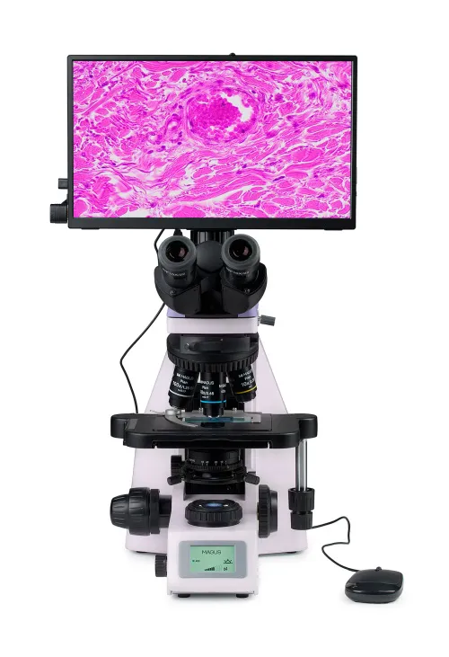 obraz cyfrowy mikroskop biologiczny MAGUS Bio D260T LCD,  8