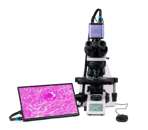 obraz cyfrowy mikroskop biologiczny MAGUS Bio D260T LCD,  9