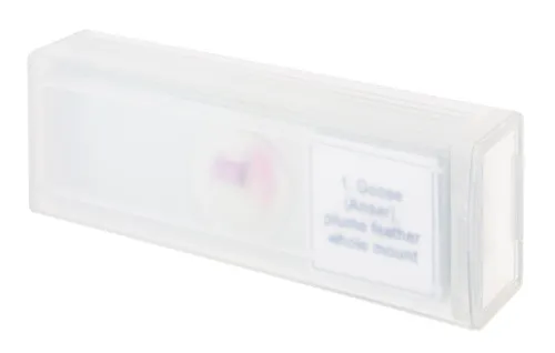 foto zestaw mikropreparatów Levenhuk Discovery Prof DPS 5. „Ptaki”,  4