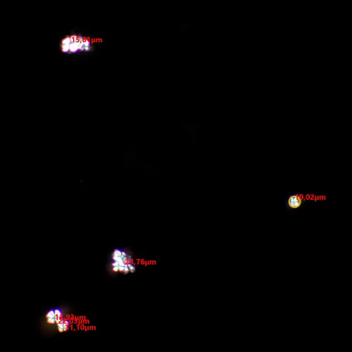 zdjęcie zestaw polaryzator/analizator MAGUS SPD1,  8