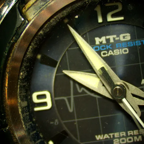 fotografia cyfrowy mikroskop stereoskopowy MAGUS Stereo D8T LCD PLUS,  25