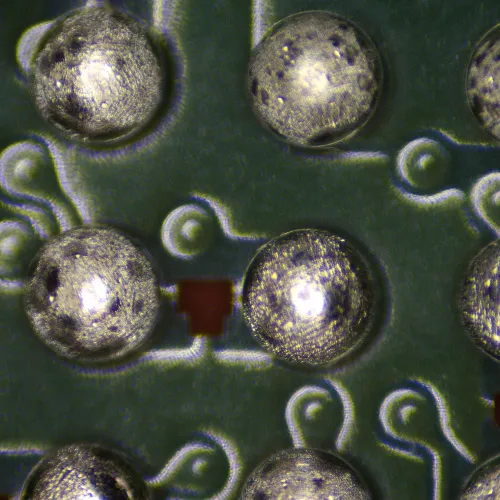 obraz mikroskop stereoskopowy MAGUS Stereo 9T,  12