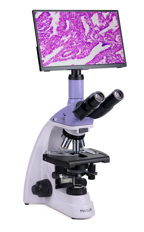 zdjęcie mikroskop biologiczny cyfrowy MAGUS Bio D250T LCD,  4