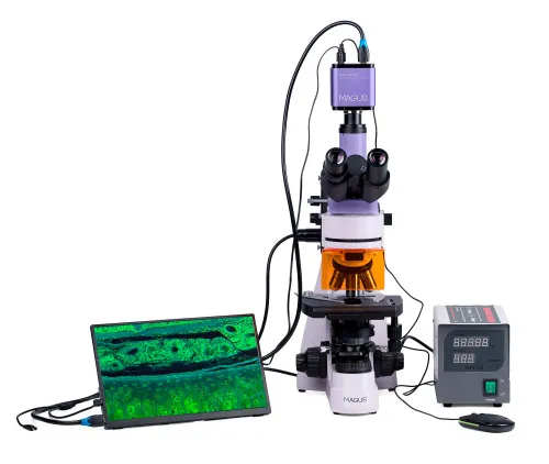 foto mikroskop fluorescencyjny cyfrowy MAGUS Lum D400 LCD,  6