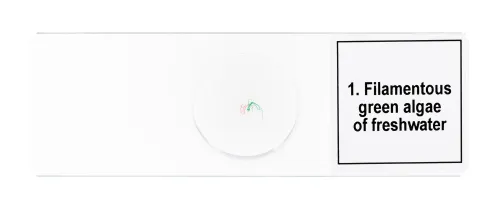 zdjęcie zestaw mikropreparatów Levenhuk Discovery Prof DPS 5. „Biologia”,  7