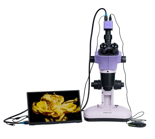 obraz mikroskop stereoskopowy cyfrowy MAGUS Stereo D9T LCD,  6