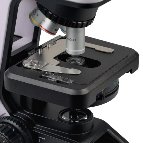 fotografia mikroskop biologiczny MAGUS Bio 240B,  10