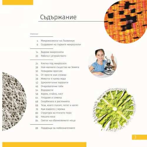 obraz mikroskop Levenhuk Discovery Micro z książką,  6