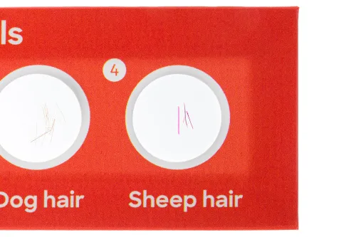 obraz zestaw 24 preparatów Levenhuk Discovery Flora i Fauna,  4