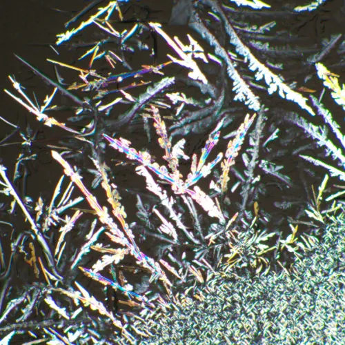 zdjęcie zestaw polaryzator/analizator MAGUS SPD1,  6