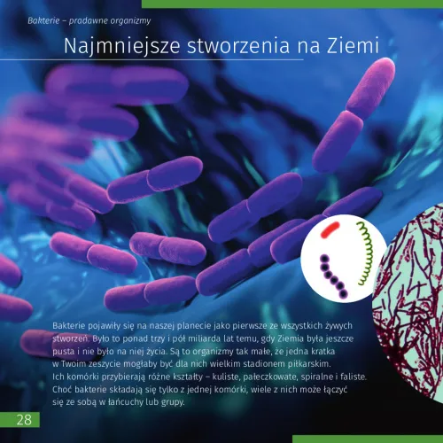 obraz niewidoczny świat. Skarbnica wiedzy,  5