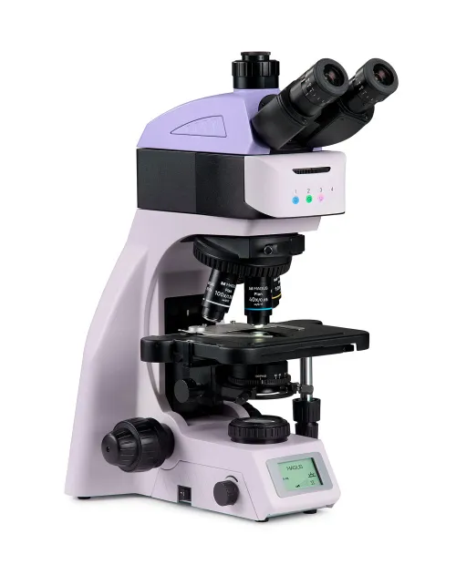 obraz mikroskop fluorescencyjny MAGUS Lum 460L,  2