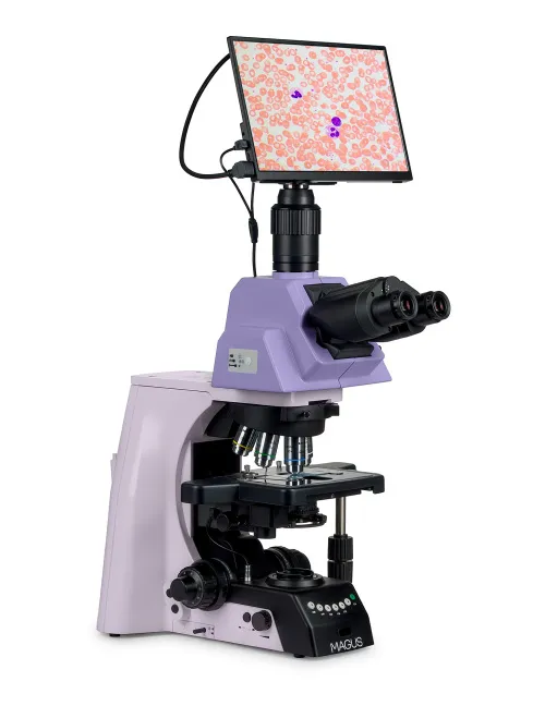 obraz cyfrowy mikroskop biologiczny MAGUS Bio D290T LCD,  3