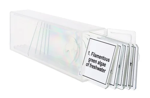 zdjęcie zestaw mikropreparatów Levenhuk Discovery Prof DPS 5. „Biologia”,  5