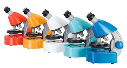 obraz mikroskop Levenhuk Discovery Micro z książką,  3