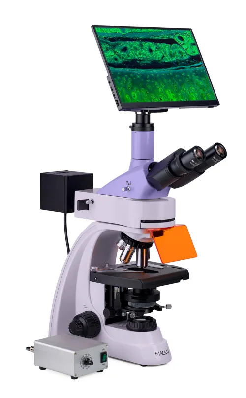foto mikroskop fluorescencyjny cyfrowy MAGUS Lum D400L LCD,  4