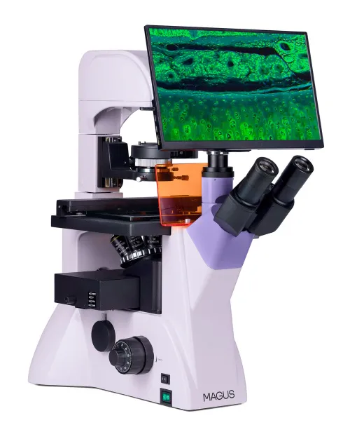 foto odwrócony mikroskop fluorescencyjny cyfrowy MAGUS Lum VD500L LCD,  4