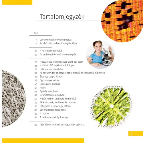 obraz mikroskop Levenhuk Discovery Micro z książką,  6