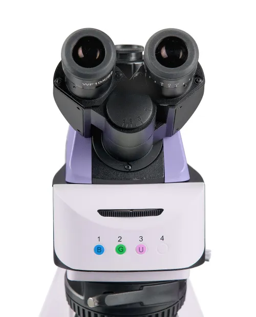 obraz mikroskop fluorescencyjny MAGUS Lum 460L,  9