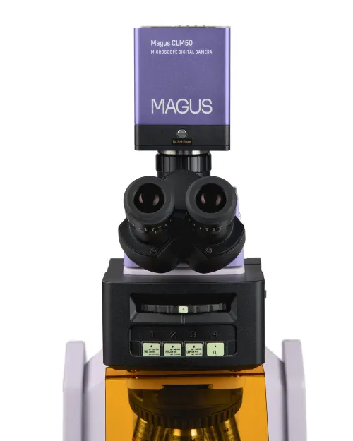 zdjęcie cyfrowy mikroskop fluorescencyjny MAGUS Lum D470L,  11