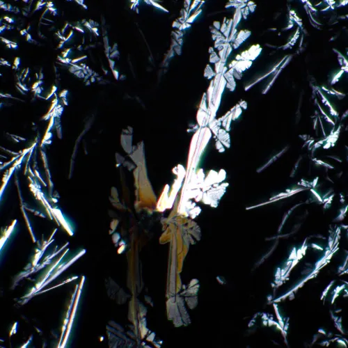 zdjęcie zestaw polaryzator/analizator MAGUS SPD1,  7