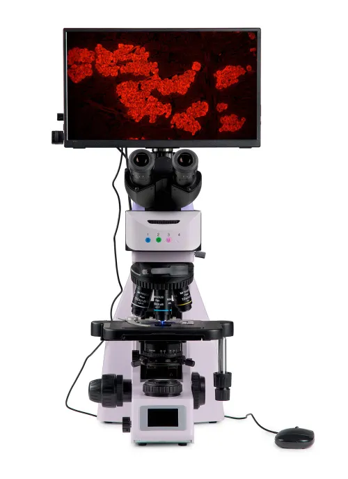 obraz cyfrowy mikroskop fluorescencyjny MAGUS Lum D460L LCD,  9