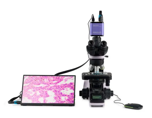 obraz cyfrowy mikroskop biologiczny MAGUS Bio D240T LCD,  5