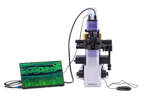 foto odwrócony mikroskop fluorescencyjny cyfrowy MAGUS Lum VD500L LCD,  6