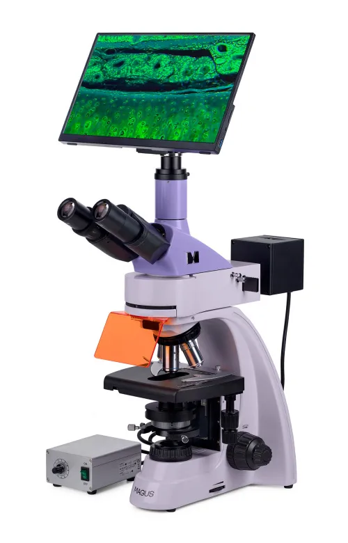 foto mikroskop fluorescencyjny cyfrowy MAGUS Lum D400L LCD,  3