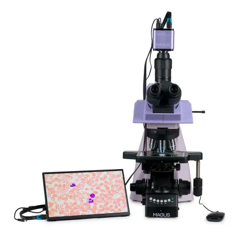 obraz cyfrowy mikroskop biologiczny MAGUS Bio D290T LCD,  8