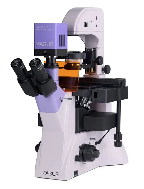 obraz odwrócony mikroskop fluorescencyjny cyfrowy MAGUS Lum VD500L,  3