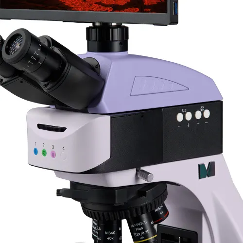 obraz cyfrowy mikroskop fluorescencyjny MAGUS Lum D460L LCD,  13