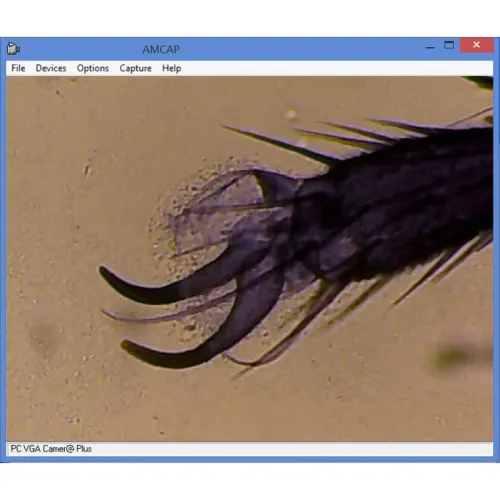 fotografia mikroskop Omegon MonoView, MicroStar, achromat, 1280x, LED,  4