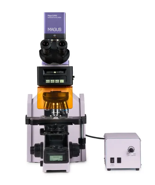 zdjęcie cyfrowy mikroskop fluorescencyjny MAGUS Lum D470L,  9