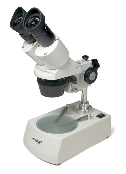obraz mikroskop Levenhuk 3ST