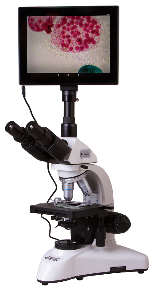 zdjęcie trójokularowy mikroskop cyfrowy Levenhuk MED D25T LCD